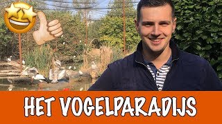 Bijzondere vogels  WINNAARS WINACTIE  DierenpraatTV [upl. by Therine]