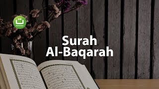 Juz 1 Surah Al Baqarah سورة البقرة  Abu Usamah ᴴᴰ  Tadabbur Daily [upl. by Zinck73]