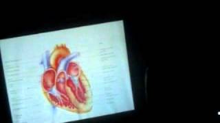 3 Formation Continue Anatomie et Physiologie du Coeur Humain le 23 10 2010 [upl. by Scholem78]