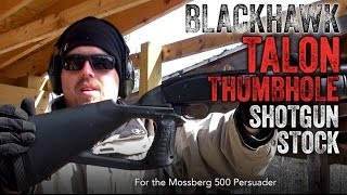 BLACKHAWK Talon Thumbhole Shotgun Stock Review [upl. by Herzberg]