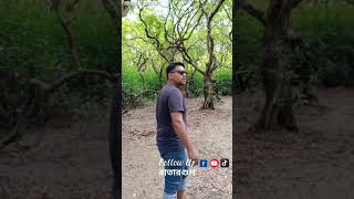 দ্বিতীয় আমাজন জঙ্গল shorts vairalshort foryou youtubeshortschallenge [upl. by Arrat]