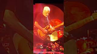 David Gilmour Intuit Dome 10252024 [upl. by Edaj]