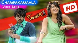 Kandireega Full Video Songs  Champaka Maala Video Song  Ram Pothineni  Hansika  Aksha [upl. by Nisse]