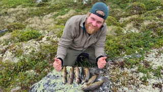 Fjellørret fiske på Hardangervidda 2022  Neste eventyret [upl. by Ogirdor]