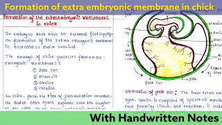 Formation of extra embryonic membrane in Chick  Developmental Biology Lecture [upl. by Droffilc]