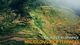 Maligcong Rice Terraces amp Mount Kupapey  Treasures of Mountain Province [upl. by Idnyl]