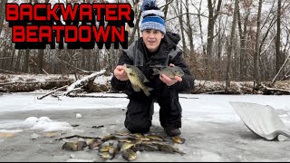 Panfish Ice Fishing  Loaded Wisconsin River Backwater [upl. by Klinges723]