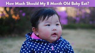 How Much Should My 8 Month Old Baby Eat  CloudMom [upl. by Perr423]