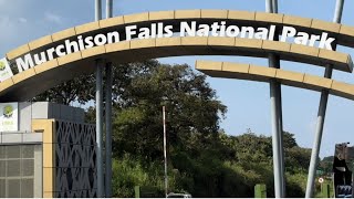 TRAVEL WITH ME THROUGH MURCHISON FALLS NATIONAL PARK 🏞️ UGANDA 🇺🇬 travel youtube [upl. by Ayotan]