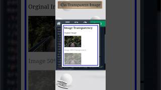 𝐂𝐬𝐬 𝐓𝐫𝐚𝐧𝐬𝐩𝐚𝐫𝐞𝐧𝐭 𝐈𝐦𝐚𝐠𝐞  transparency image css3 padding html style css Educationslearning [upl. by Rosella]