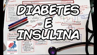 Fisiología Diabetes e Insulina Generalidades [upl. by Jenness]