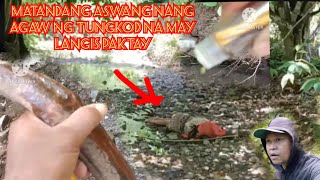 UPDATE SA MATANDANG ASWANG PAKTAY NG MANG AGAW NG TUNGKOD NA NILAGYAN NG LANGIS [upl. by Susana]