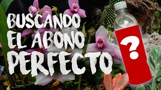 Buscando el Abono Perfecto para las Orquideas  Finca Dracula [upl. by Wanids]