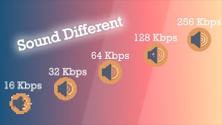 16 vs 32 vs 64 vs 128 vs 256 KBPS MUSIC COMPARISON  SOUND QUALITY DIFFERENCE BETWEEN 2024 [upl. by Ainavi]