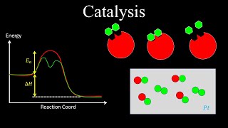 Catalysts Enzyme Catalysis AcidBase Catalysis Surface  Chemistry [upl. by Phene]