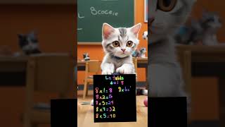 La tabla del 8 Cute kitten cat lovecats cats catvideos kittens catlover kitten [upl. by Bashemeth]