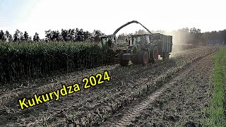 🌽Kukurydza 2024🌽Claas amp Case [upl. by Jutta]