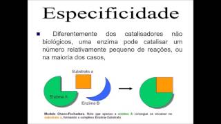 Aula Nutrição Enzimas na Indústria de Alimentos [upl. by Sayres258]