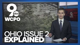 Explaining Issue 2 Ohios marijuana ballot measure [upl. by Eilyab]