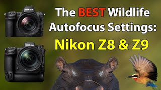 The Ultimate Nikon Z8 And Z9 AF Setup Guide For Wildlife Photography [upl. by Hunter]