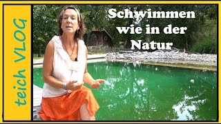 Warum ein Schwimmteich die beste Wahl ist [upl. by Ynatsyd]