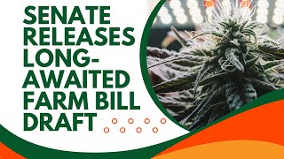 Senate releases longawaited farm bill draft Here’s what’s in it [upl. by Johann115]