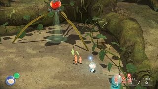 Cemu WiiU Emulator  Pikmin 3 Ingame Cemu v131 [upl. by Devaney]