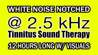 White Noise  Notch Filtered at 25 kHz for Tinnitus Therapy w Visuals [upl. by Africa377]