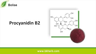 Procyanidin B2 CAS No29106498 C30H26O12 Manufacturer Factory Price [upl. by Neemsay]