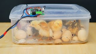 How to make a mini Egg Incubator at home  HatchedResult [upl. by Nils]