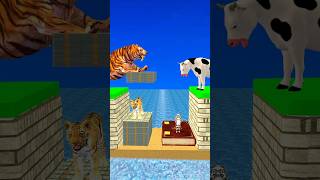 New Money vs Knowledge With Cartoon Cow vs Tiger What Do Choose Shorts Cartoon Viral [upl. by Akzseinga]