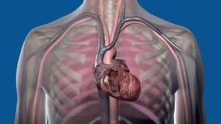 How do different cardiac rhythm devices work [upl. by Afrika]