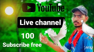 Live channel 100 subscribe free🕊️🥀😊 like subscribe bhai 🕊️ support to support 🙏🥀 [upl. by Eilahs]