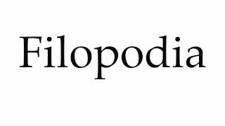 How to Pronounce Filopodia [upl. by Derzon]