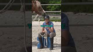 Priorities during first rides with young horses younghorse coltstarting horsetraining horsegirl [upl. by Stefanac401]