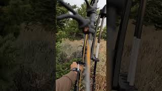 The moment and I realize I suck at bow hunting [upl. by Merwin]