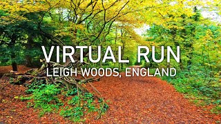 Virtual Run  Leigh Woods Bristol  Ancient Forest Treadmill Running Scenery [upl. by Laurentia105]