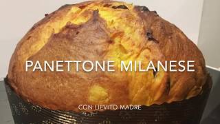 Panettone milanese a lievitazione naturale con impastatrice a spirale Sunmix [upl. by Enyr949]