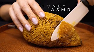 ASMR of a Honeycomb on Branch No Talking [upl. by Notaek]