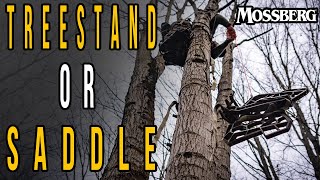 Tree Saddle or Tree Stand Tree Stand Options For Deer Hunting [upl. by Aluor]