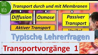 Transportvorgänge1 Typische Lehrerfragen und geniale Schülerantworten [upl. by Liartnod]