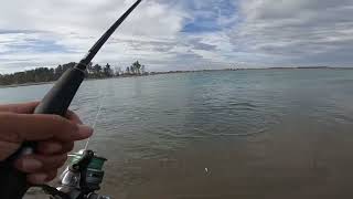 Waimakariri kahawai fishing [upl. by Matteo522]