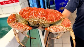 Eating MONSTER Tasmanian KING CRAB amp LOBSTER at Australias LARGEST Fish Market  Sydney Fish Market [upl. by Olli]