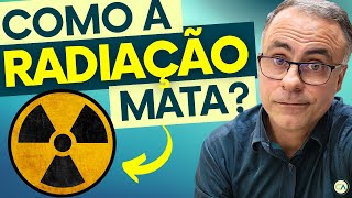 TOMOGRAFIA E MAMOGRAFIA QUE SUPLEMENTOS TOMAR radiação [upl. by Jobina]