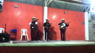 Trio calamar La azucena [upl. by Novit]