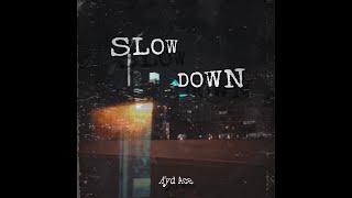 Slow Down Lyric Visualizer [upl. by Harv658]