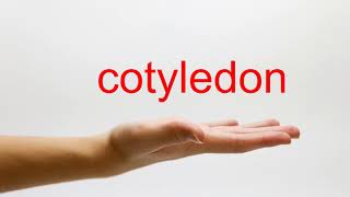 How to Pronounce cotyledon  American English [upl. by Sirovart126]