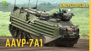 AAVP7A1  The Legendary Amphibious Assault Vehicle [upl. by Uhsoj53]