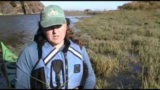 Reflections on the Water Identifying Spartina Grass with Rachel Benbrook [upl. by Ekaj]