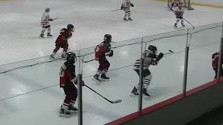 U13 AA Moncton Hawks vs Shediac Jan 9 2023 [upl. by Capwell713]